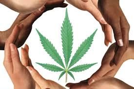 Ring of hands around marijuana leaf