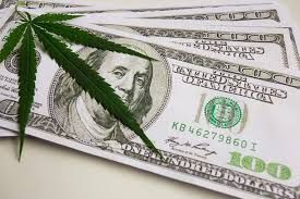 Cannabis Incentives