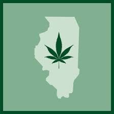 IL map with cannabis leaf