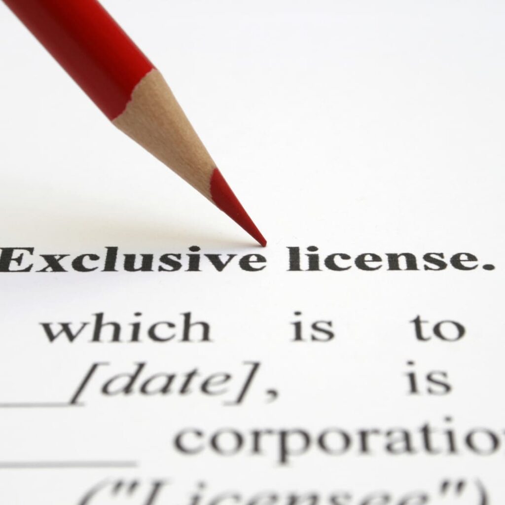 License Document