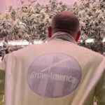Grow America in grow facility