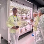 GAB in grow facility
